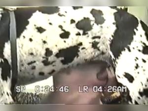 Chichi avec Harlequin Dane Partie 1