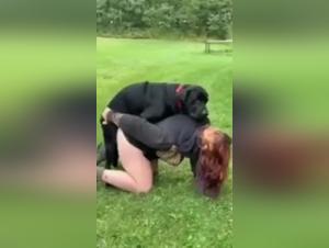 Salope baisée par son chien en vidéo X