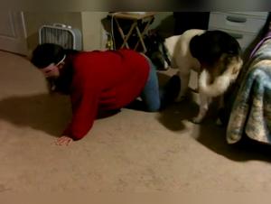 Baise Animale: Salope se laisse fouler par chien