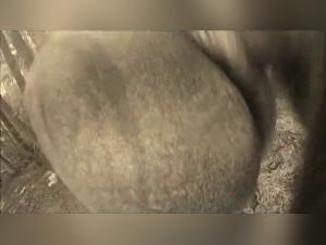 Dominatedslut Dog Fuck, Abusive Desire