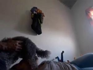 Doggystyle Sex with Bitch - Hardcore XXX