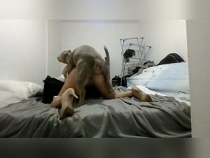 Compilación Perreras Putas: Hardcore Amateur