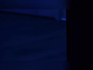 Woman Dog Sex Extreme