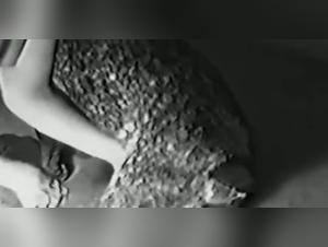 Meuf baise chien vidéo hardcore