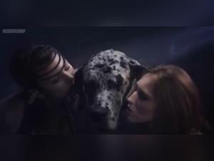 Hund Hacker Kvinna - Extremt XXX Videos