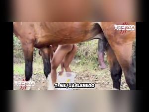 Milly chevauche cheval sauvage