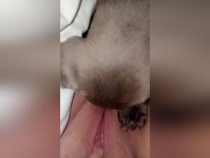 bestialita canina estrema