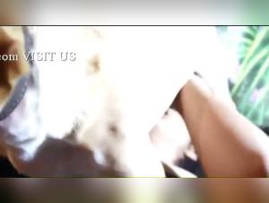 Pute & Hund - Extrem Hardcore Porno