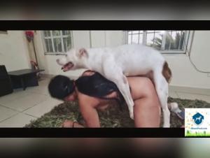 Salope et son Chien, Tush Débauché