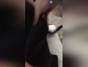 Milly e il Cane - Hardcore XXX