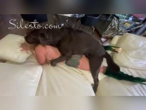 Veronica Silesto Hund Sex Extreme Teil 1