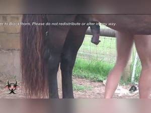 salope suce son chien