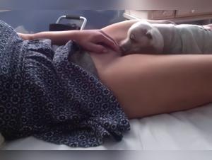  Chien Lèche Adolescente (haute Définition)