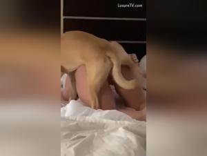 sesso animalesco: Freak In The Sheets
