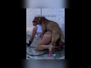 Bitch Fucks Dog Hardcore