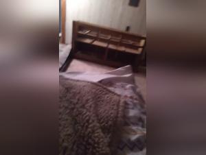 Dog Fucks Girl Extreme