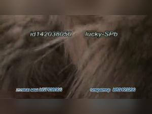 Dully's Girl First Time with Dog