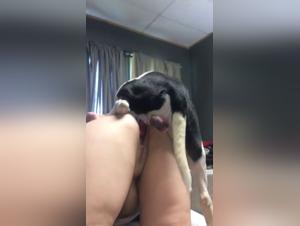Salope s'abandonne au chien, baise bestiale