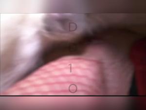 Dog Fuck: Women Unleashed