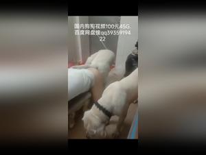 videos de sexo bestia chino: prohibido pero adictivo
