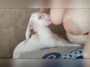 Giant Breasts, Dog Assault