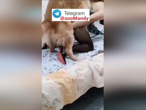 délices chinoises avec chien, érotisme extrême