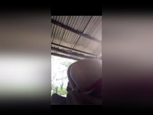 tierische lust: afrikanerin und hund