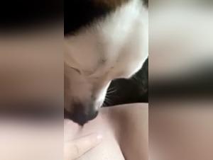 Dog fucks slut raw