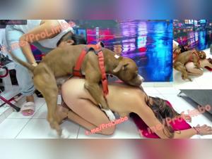 BenjiProd: Meuf Baise Chien