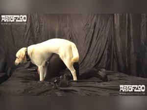 Hector Scopa Cane - Video Erotica