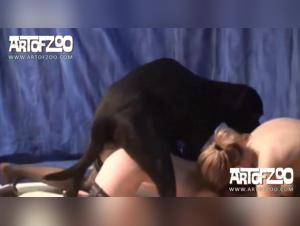 slut sucks her dog hard