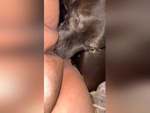 Baise Chien Endormissement: J'adore avant le Sommeil