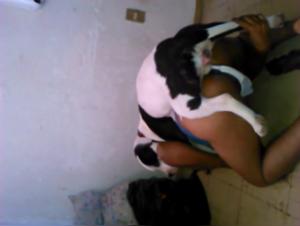 Real Dog Fuck Kitchen - XXX Videos