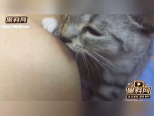 katzenfantasie, sinnliches saugen
