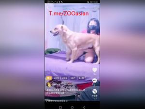 Chinese bitch dog sex livestream