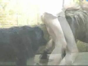 défonce ta bite dans sa gueule, salope