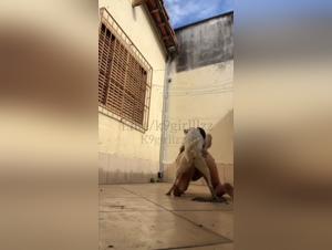 Scuola di Intimità Canina