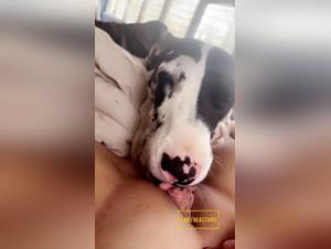 Slut Licks Dog Extreme