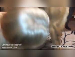 Mature Woman 3 - Dog Bangs