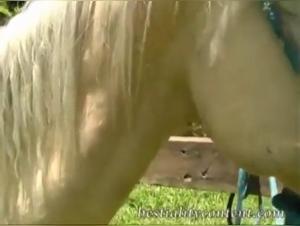 18 ans Teen baise cheval, hardcore zoofilia