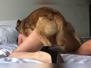 exclusive doggirl knotting: taboo zoo fantasies