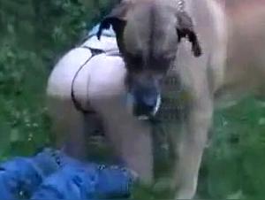 Woman sucks her dog, extreme sex