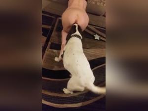 Woman Dog Sex