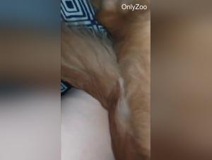 hett hustru hund först tillfälle