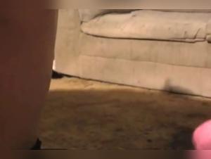 chien défonce la Dog Maid