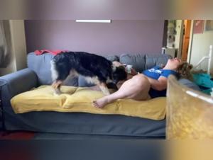 Milly Alone, Chien Fougueux