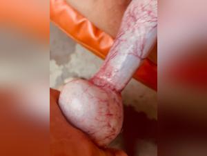 puttana succhia il pene del cane