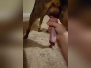 Hardcore Sex - Tjej och Hund - Brutalt