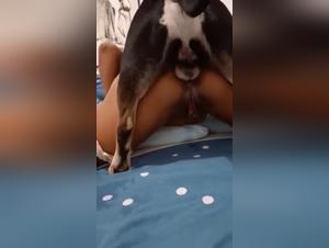 hund Fick