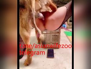 tierische lust, hund und frau